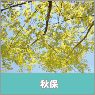 チャレンジアカデミー秋保