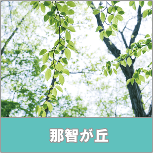 チャレンジアカデミー那智が丘事業所紹介ページへ